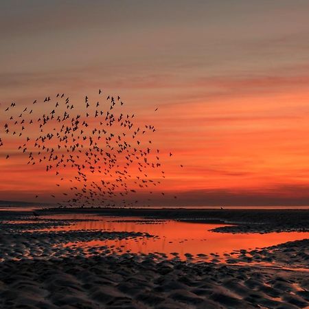 كاتفايك أن زي Hoekje Aan Zee المظهر الخارجي الصورة